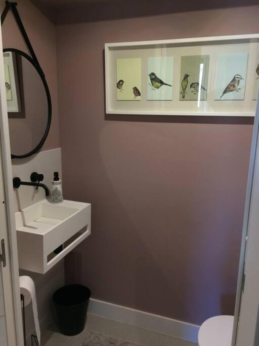 Lovely Refurbished Apartment نيس المظهر الخارجي الصورة